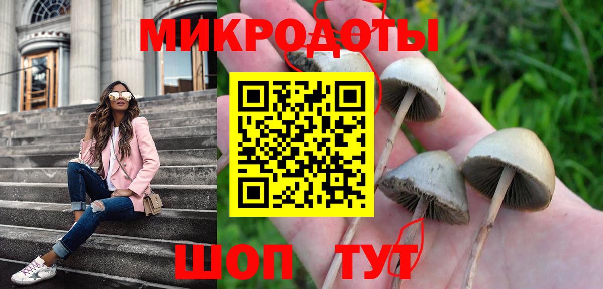 Галлюциногенные грибы Magic Shrooms Протвино