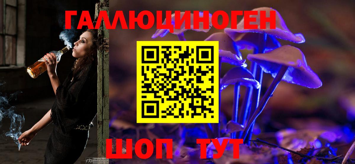 Псилоцибиновые грибы Magic Shrooms  Вход с VPN  Протвино 